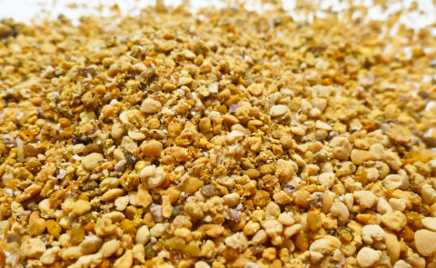 Bee Pollen For Quintessential Nutritional Needs